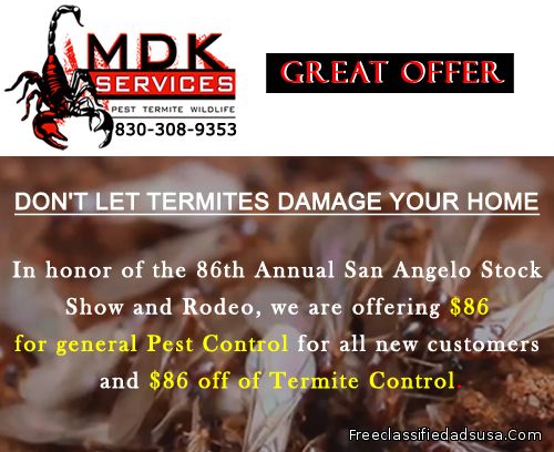 Don’t Let Termites Damage Your Home